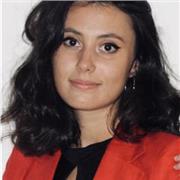 Estudiante de Historia. Ofrezco clases de Historia, Historia del Arte o filosofía